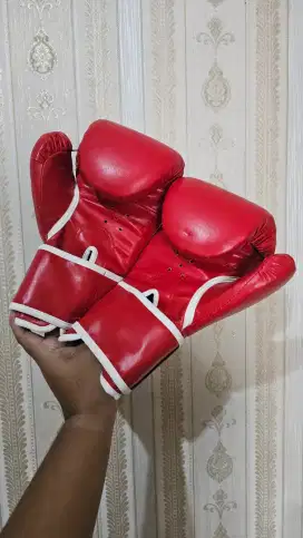 Everlast Boxing Gloves 11 oz Merah – Sarung Tinju Bekas