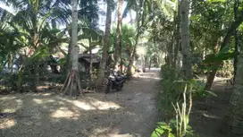 JUAL TANAH DI DEPOK PANJATAN KULONPROGO