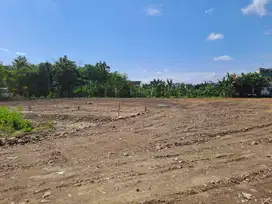 Kavling Murah Dekat Undip Tembalang Semarang