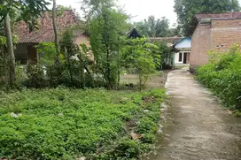 TANAH MURAH PUCANGANOM KEBONSARI MADIUN