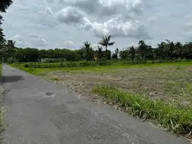 Prospek Bangun Kos, Tanah Murah Belakang Kampus