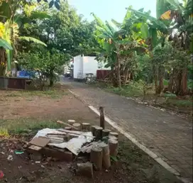Tanah Tembalang Bulusan Utara Undip