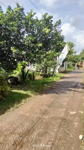 DIJUAL TANAH MURAH STRATEGIS PINGGIR JALAN DESA PENGASINAN GUNUNG SDR