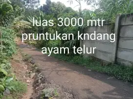 Di jual lhan tanah darat lt 3000 mtr peruntukan peternakan ayam