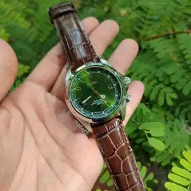 Seiko Alpinist Sarb017