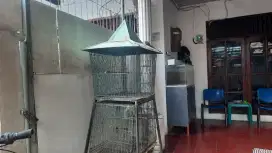 kandang burung tingkat 2