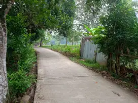 dijual lahan kebun nempel jalan desa