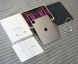 iPad Pro M2 256gb Gen 4