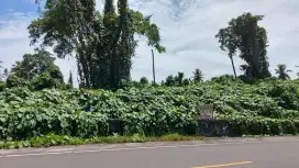Lahan 10ha ringroad 3