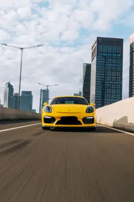 Porsche 718 Cayman GT4 2016