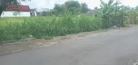 150m Ke Jl. Palagan Km 8 Sleman Dijual Murah Tanah Keburu BU