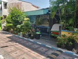 Dijual Cepat! Rumah Nyaman Dekat Kampus & RS Dr. Sutomo!