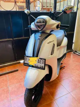 Yamaha Grand Filano 2023