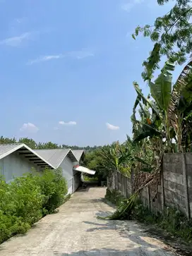 DISEWAKAN GUDANG CIBINONG BOGOR