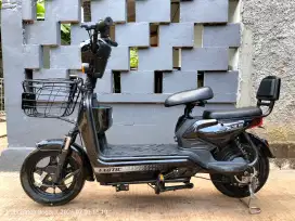 selis exotic masih standaran