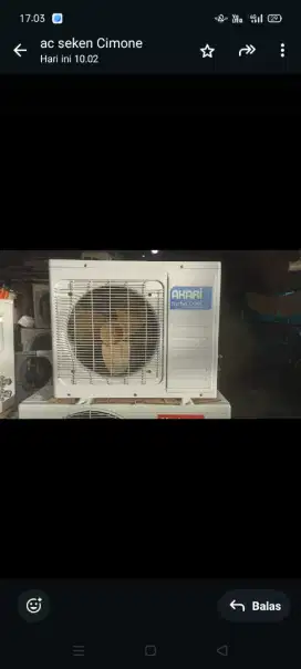 AC seken 1/2 pk
