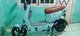 Sepeda listrik uwinfly d8-12