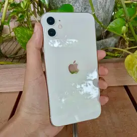 Iphone 11 Resmi Beacukai