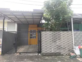 Disewakan Murah Rumah Di Curug Tangerang