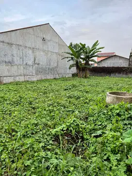 Jual Tanah Nilai Investasi Tinggi Daerah Jalan Selamat (Simpang Limun)