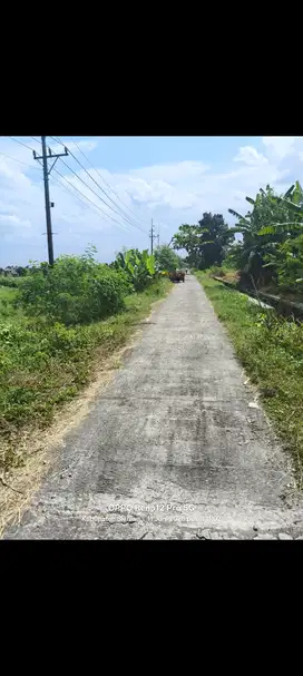 Sawah sidoarum Godean sleman