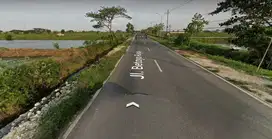 Jual tanah Nol jalan  Manyar Gresik Jawa Timur   Raya Betoyo