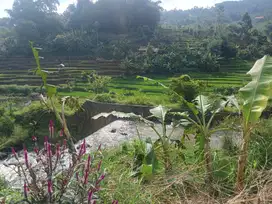 dijual sawah produktif di cicalengka dekat curug cinulang