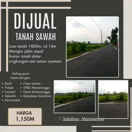 SAWAH MANISRENGGO STRATEGIS MANGKU JALAN ASPAL
