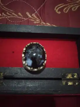 Cincin Batu Fosil Kelor