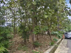 Dijual Cepat Tanah 693m²