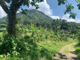 Dijual tanah di sentul gunung pancar