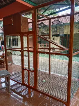 Polier kandang dll