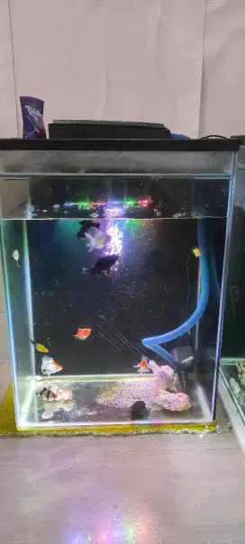 Aquarium 45x64x30