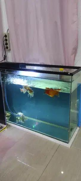 Aquarium 94x64x30