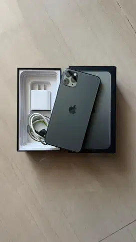 iPhone 11 Pro Max, 256Gb