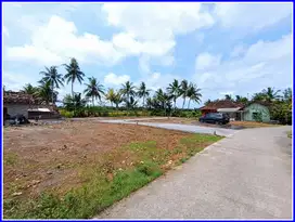 Kawasan Bandara YIA Kulonprogo, Terbaik Buat Investasi Jogja
