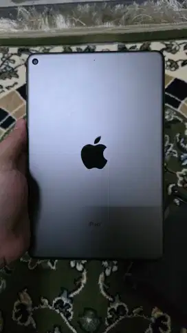 Ipad Mini 5 64 WiFi Mulusssss
