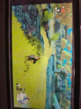 Nintendo Switch 2 HK version