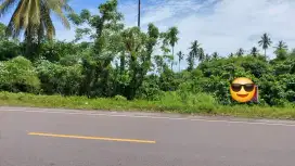 Tanah 7hektar di ringroad 3 cocok for bangun perumahan