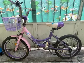 Sepeda Anak Genio iris uk 14