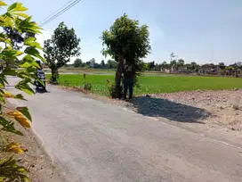 Di jual murah tanah di tepi jln dpu Mancasan baki