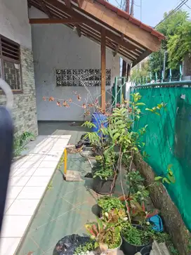HOTSALE RUMAH HITUNG TANAH PANGLIMA POLIM BLOK M KRAMAT PELA GANDARIA