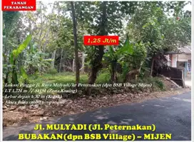 Tanah Pekarangan Murah Mijen Kota Semarang (Zona Kuning), Pinggir jln