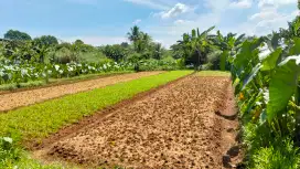 Tanah Dijual Di Daerah Cimanggis, Bojonggede