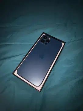 Iphone 12 Pro Max 256 GB Garansi Ex Ibox