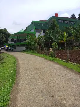DIJUAL CEPAT TANAH PINGGIR JALAN CIJERUK BOGOR