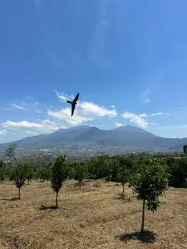 Tanah kebun view bagus kota batu, citylight