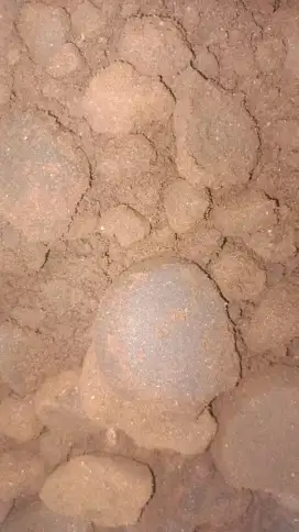 Ampas kopi untuk pupuk