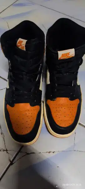 Air jordan high size 43