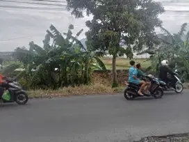 TANAH LOKASI TEGALGONDO BELAKANG KAMPUS UNMU DAUHAN MALANG